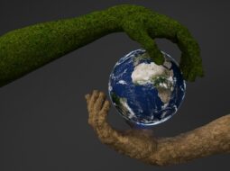 Environmental Policy