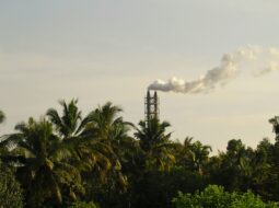 Environmental Policy