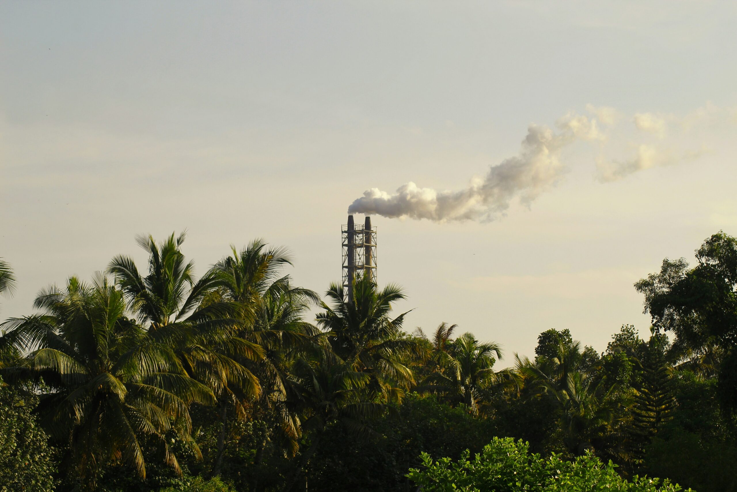 Environmental Policy