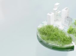 Environmental Policy
