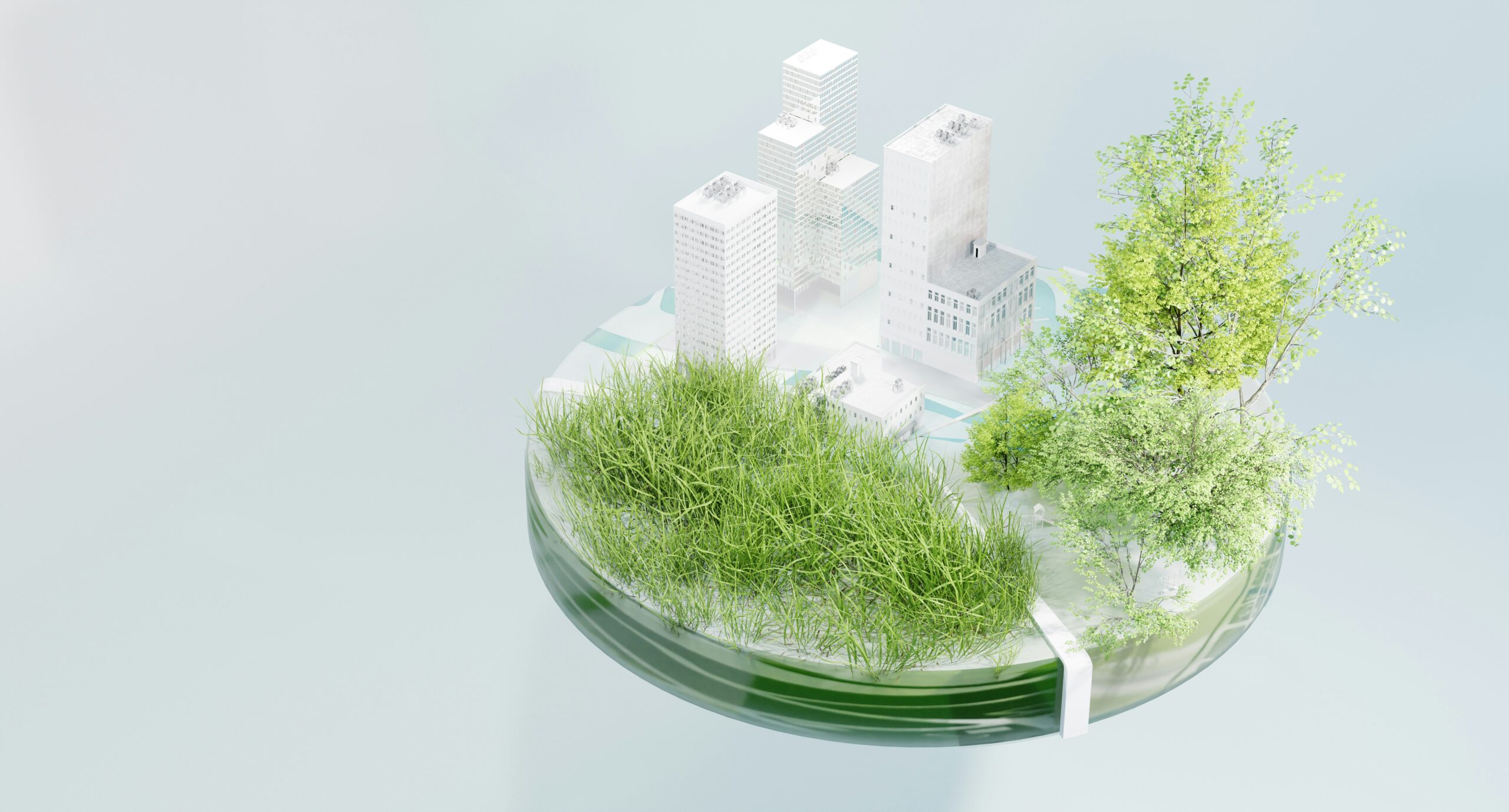 Environmental Policy